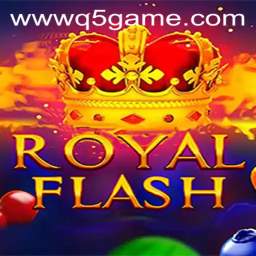 Exploring RoyalFlash: A New Era of Digital Card Gaming with q5.game